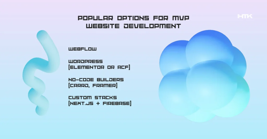 Popular options for mvp website development